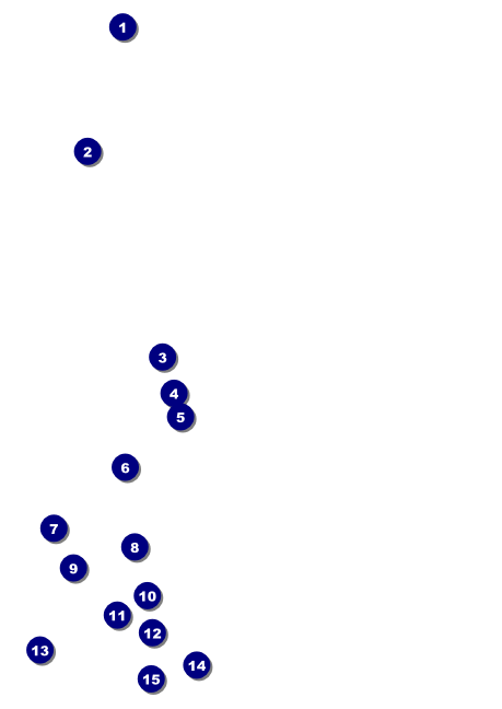Indian Music Club Flyer Front Field Markers
