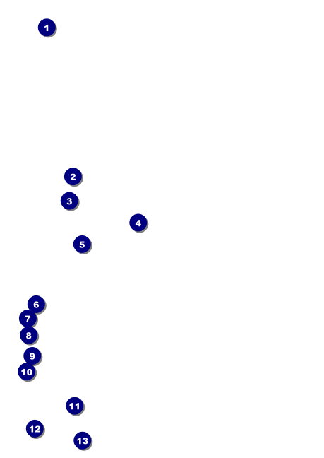 Leukemia Postcard Front Field Markers