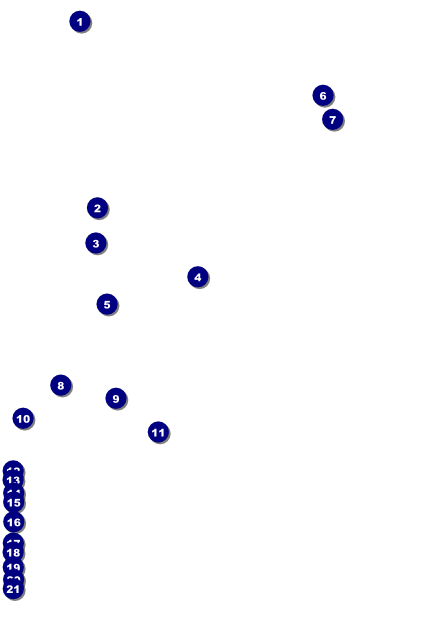 Leukemia Poster Front Field Markers