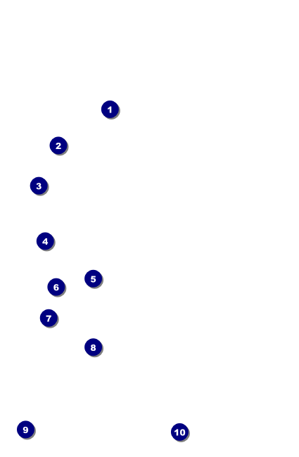 All Purpose Lights Drink Ticket Front Field Markers