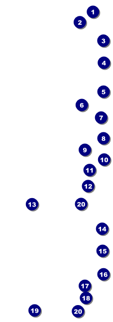 Beach Event Ticket Front Field Markers