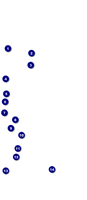 Chocolate VIP Pass Front Field Markers