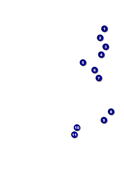 Dallas Drink Ticket (Black and White) Front Field Markers