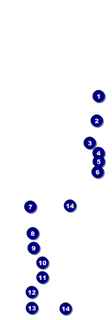 Mexican Flag Raffle Ticket Front Field Markers