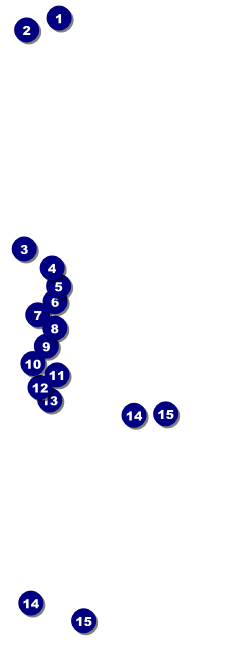 Medieval Banquet Raffle Ticket Front Field Markers