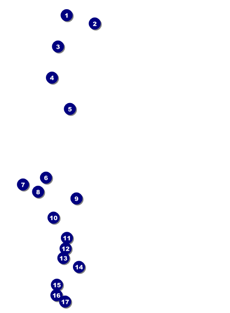 Murder Mystery Invitation Front Field Markers