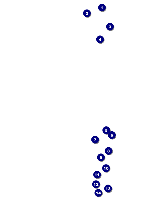 Spanish Flag Invitation Front Field Markers