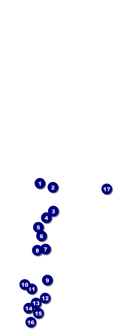Fourth of July Freedom Blue Table Tent Front Field Markers