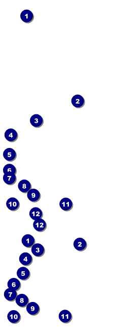 Bridal Reserved Event Ticket Front Field Markers