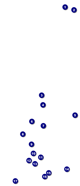 Chinese New Year Monkey VIP Pass Front Field Markers