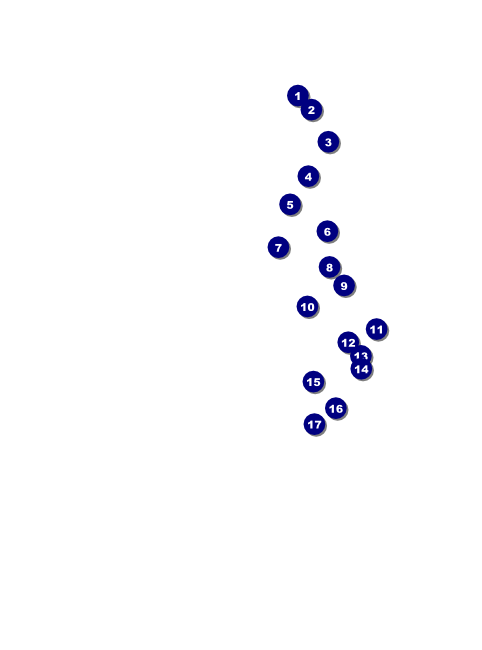 North Carolina Flyer Front Field Markers