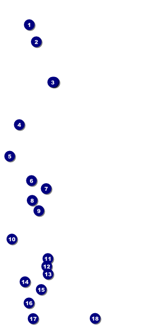 Reunion 3 VIP Pass Front Field Markers