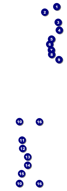Curling Tournament Raffle Ticket Front Field Markers