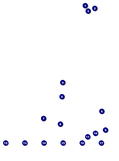 Chinese New Year Pig Image Flyer Front Field Markers