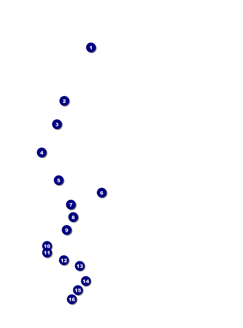 Year Gold Semi-Formal Flyer Front Field Markers
