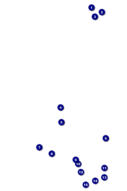 Chinese New Year Rabbit Poster Front Field Markers