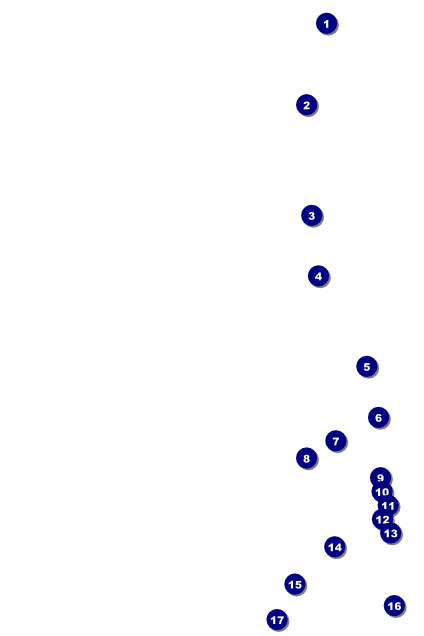 Black Friday Sale Poster Front Field Markers