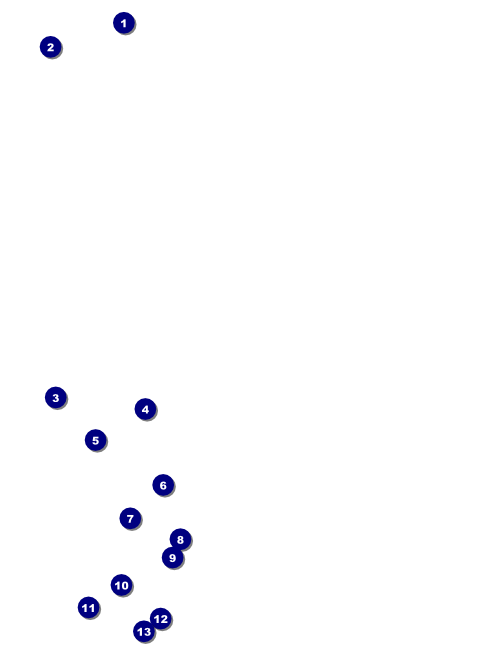 Demon Explosion Flyer Front Field Markers