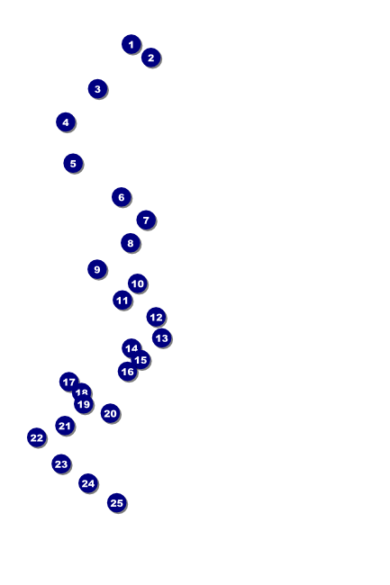 Spider Web 004 Poster (without image banner) Front Field Markers