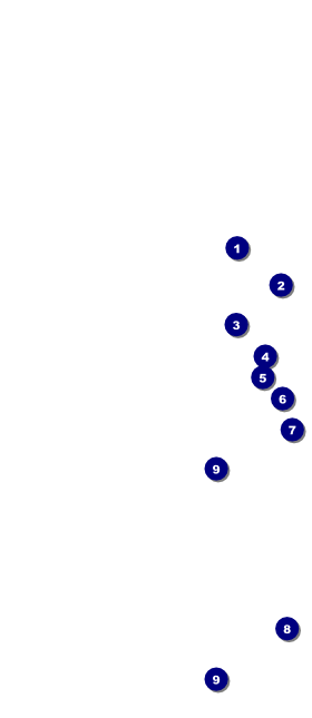 Soccer Field Hang Tag Front Field Markers