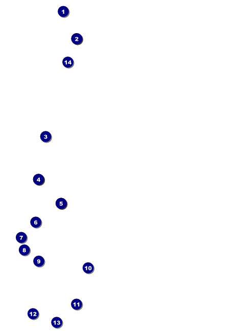 Carnival Flyer Front Field Markers