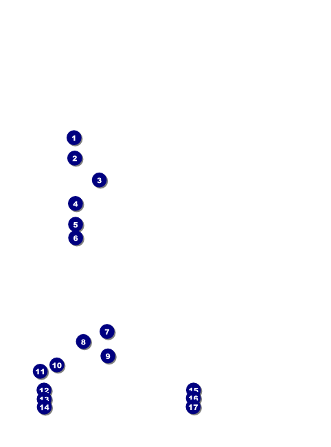 Birthday Party Geometric Flyer Front Field Markers