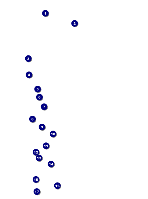 Christmas Bells Flyer 001 Front Field Markers
