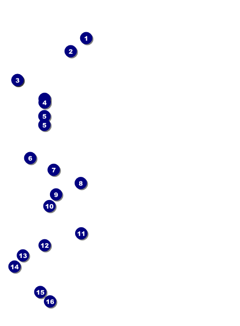 Mixed Martial Art Invitation Front Field Markers