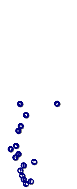 Bingo Bonanza Extravaganza Table Tent Front Field Markers