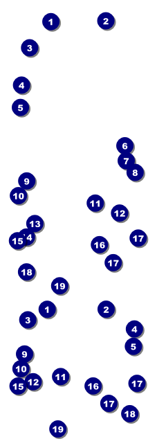 Bingo Bonanza Extravaganza Reserved Event Ticket Front Field Markers