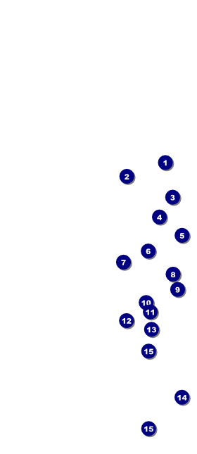 Hip Hop Green Hang Tag Front Field Markers