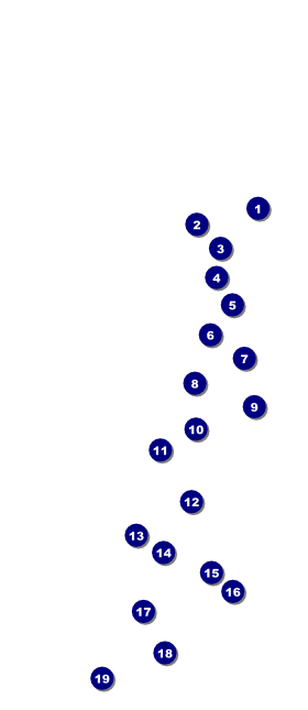 Casino Night VIP Pass Front Field Markers