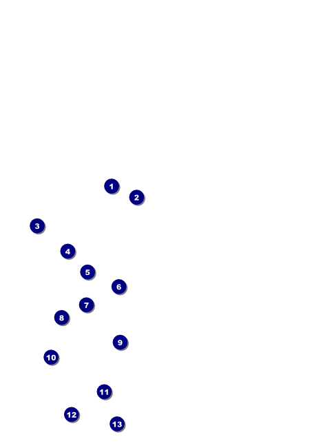 Military Ball - The Salute Flyer Front Field Markers