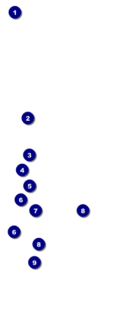 Curling QR Event Ticket Front Field Markers