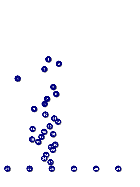 Rugby Flyer with Image Upload Front Field Markers