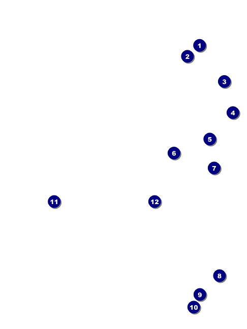 All Purpose Hex Economy Event Badge Front Field Markers