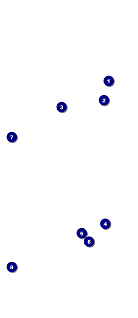 Conference Series: Gradient Waves VIP Event Badge Large Front Field Markers