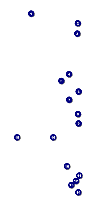 Masquerade VIP Event Badge Large VIP Event Badge Large Front Field Markers