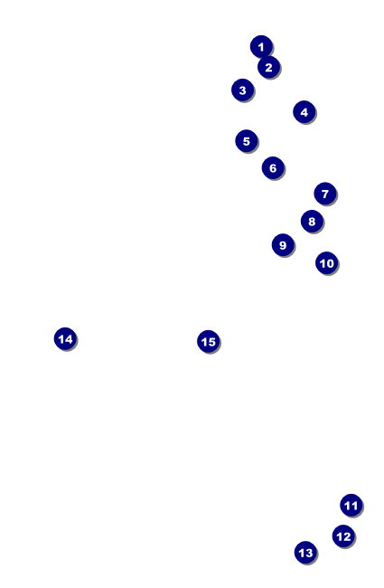 Red Carpet VIP Event Badge Small VIP Event Badge Small Front Field Markers