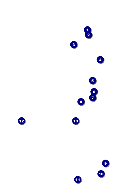 All Purpose Circle VIP Event Badge Medium Front Field Markers