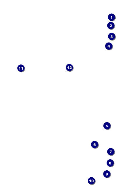 Lotus Flower VIP Event Badge Medium Front Field Markers