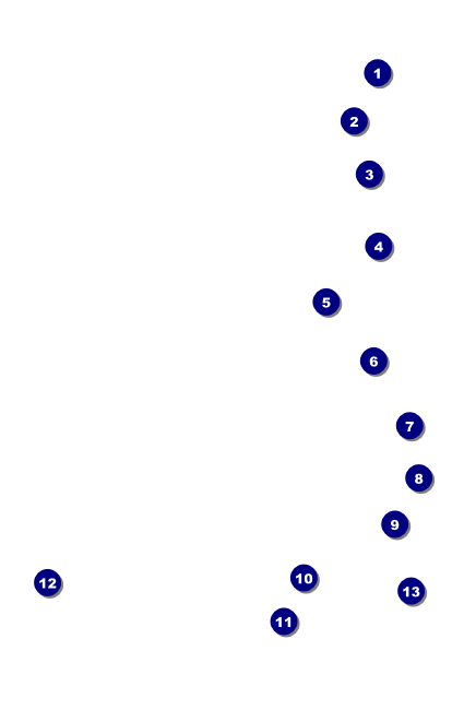Modern Rodeo VIP Event Badge Small Front Field Markers