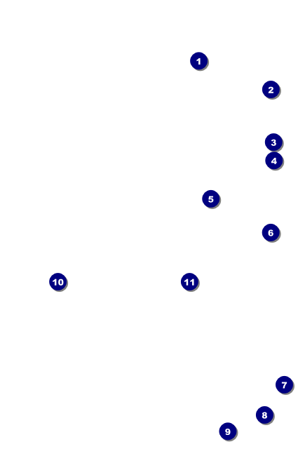 Bike VIP Event Badge Small Front Field Markers