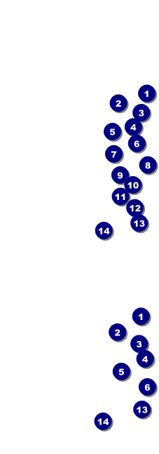 South Carolina General Admission Ticket Front Field Markers