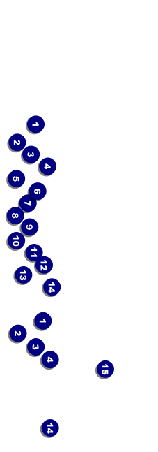 Trail Running Race General Admission Ticket Front Field Markers