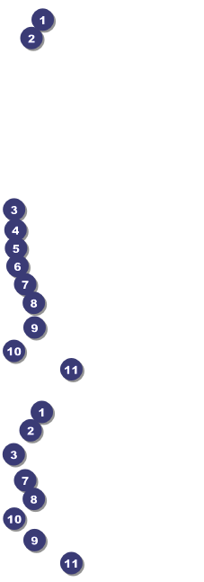 Skating Party Event Ticket Front Field Markers