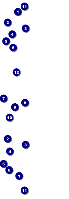 Sports Ticket Black & Silver Front Field Markers