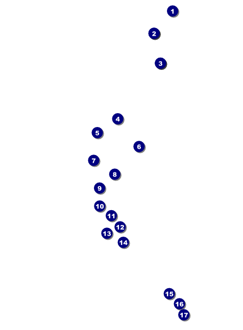 Basketball Dunk Invitation Front Field Markers