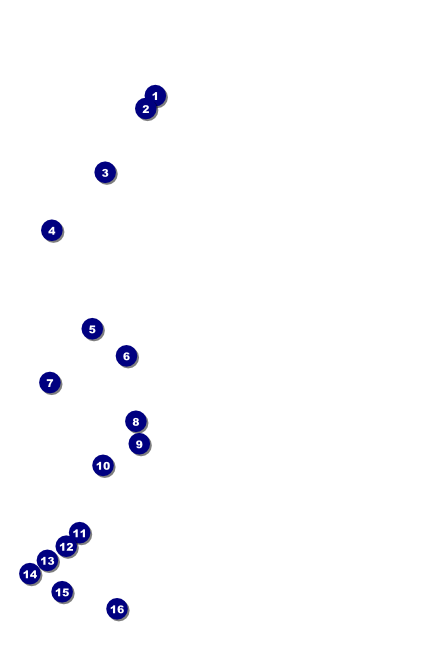 Classic Black Pinstripe Poster Front Field Markers