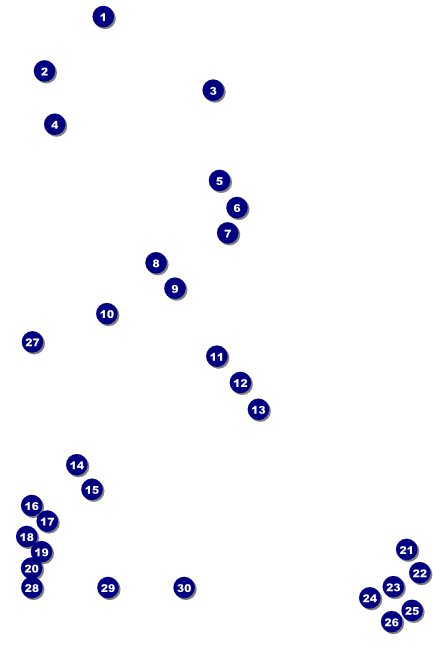 String Symphony Poster Front Field Markers